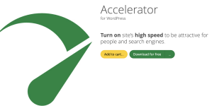 Seraphinite Accelerator (Full)