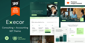 Execor – Accounting and Management Consulting WordPress Theme