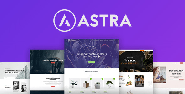 Astra Pro Addon 4.8.2 – WordPress Designing Plugin