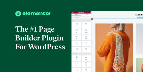 Elementor Pro 3.24.3 – Page Builder Plugin for WordPress
