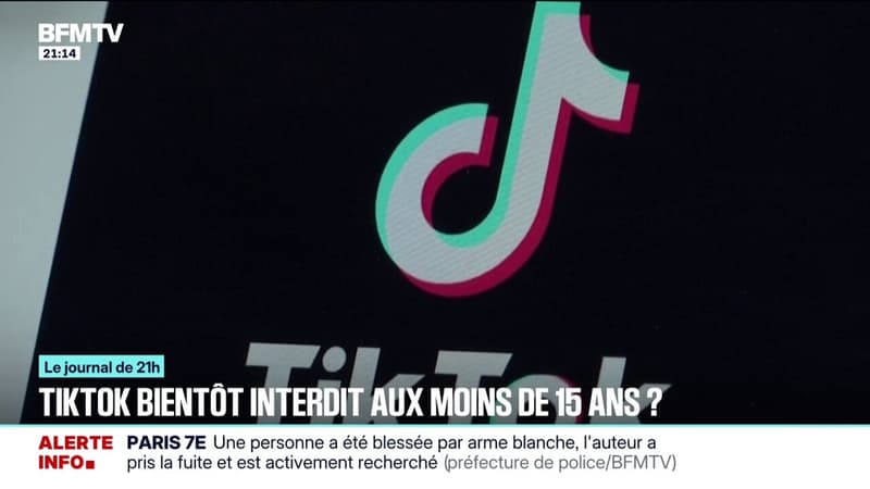 TikTok bientôt interdit aux moins de 15 ans en France?